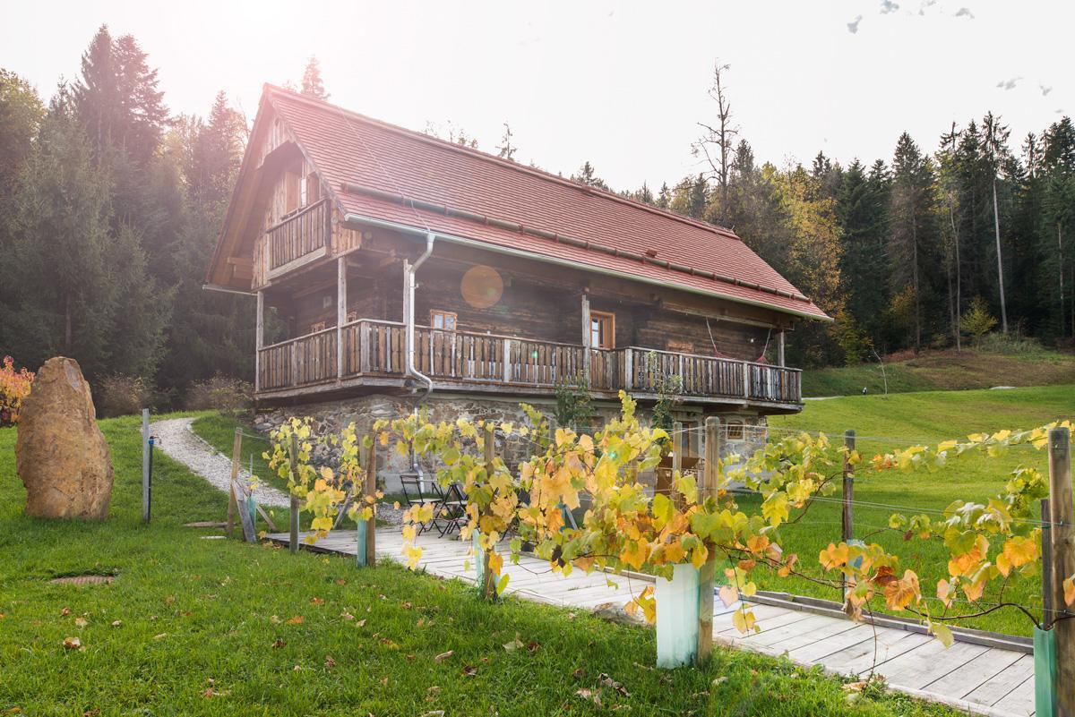 Landhaus Moser ليوتسشاخ المظهر الخارجي الصورة